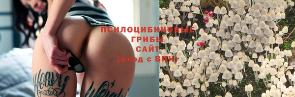 трава Абинск