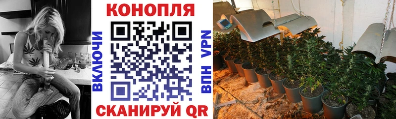 Бошки Шишки MAZAR  где найти   Хабаровск 