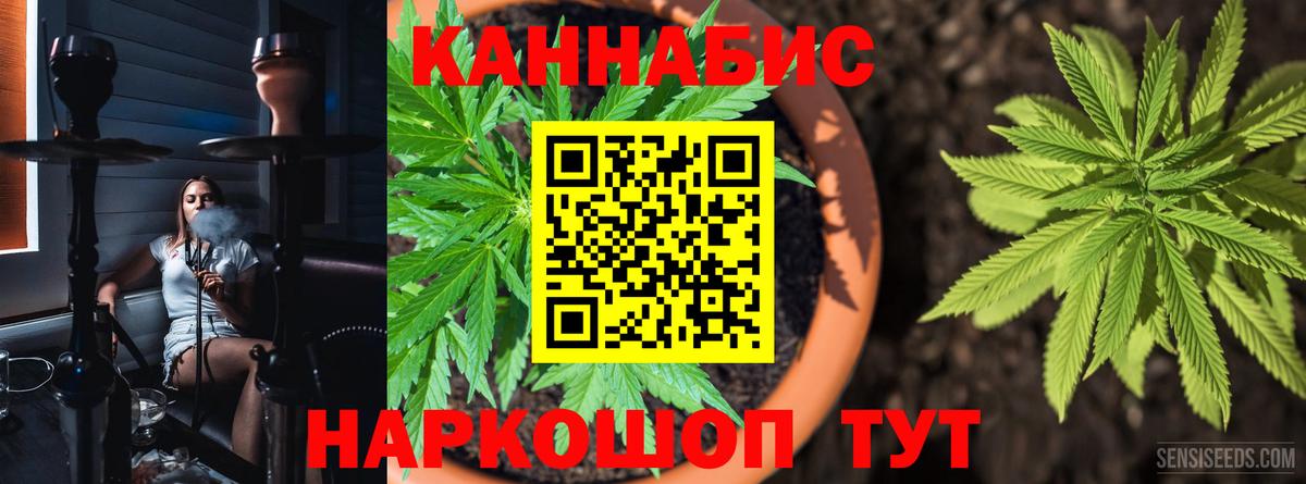 Шишки марихуана тримм  Шишки марихуана Bruce Banner  Каннабис MAZAR  Хабаровск  Вход с VPN 